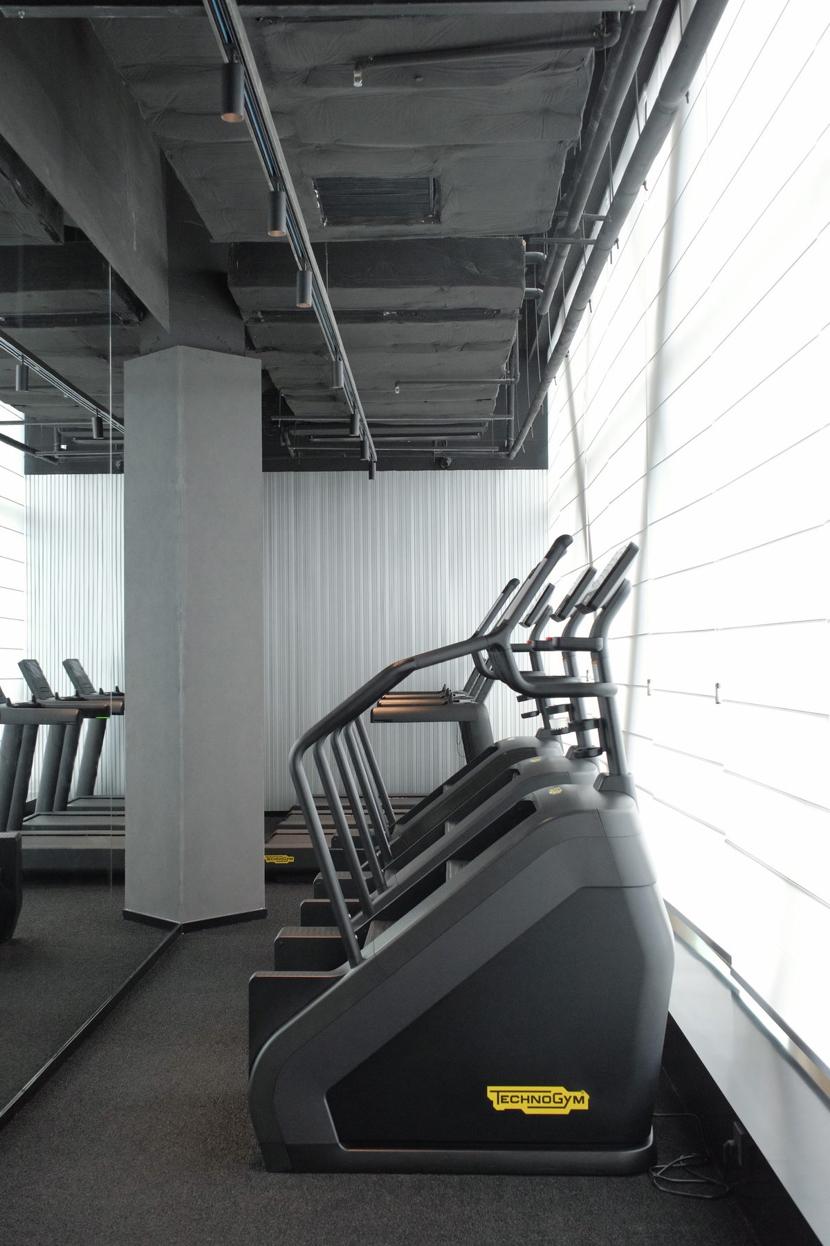 PAUSE PRO 临窗 Technogym 登阶训练器